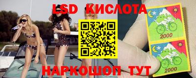 прущие грибы Берёзовский