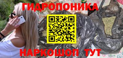apvp Бийск
