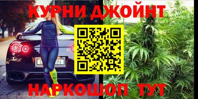 apvp Бийск