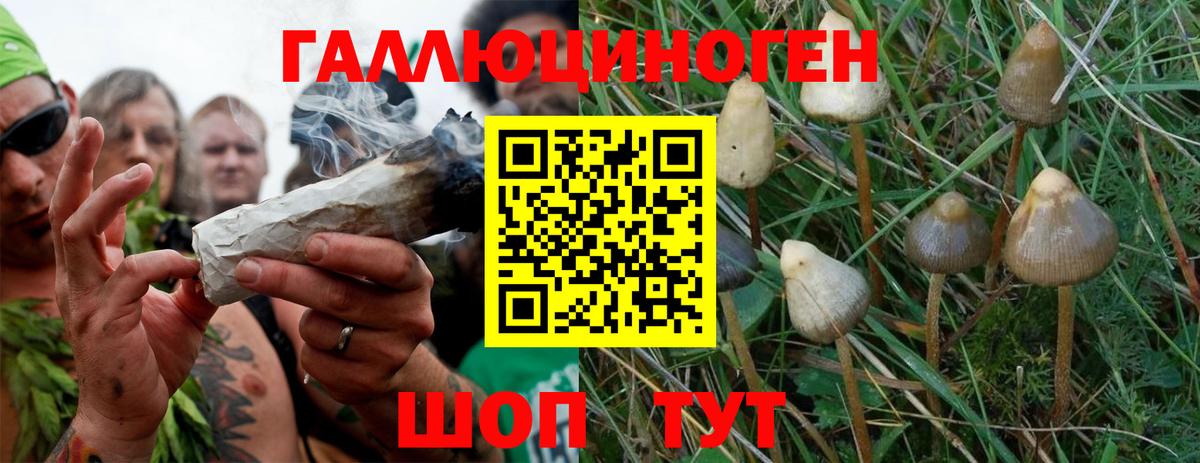 Псилоцибиновые грибы прущие грибы Карталы